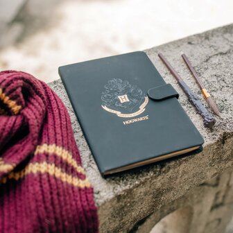 Harry Potter Dagboek Set Zwart