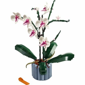 Lego Icons 10311 Orchidee