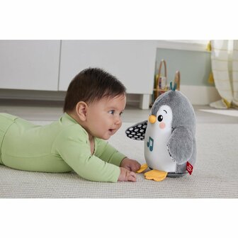 Fisher Price Flap and Wobble Pingu&iuml;n + Geluid