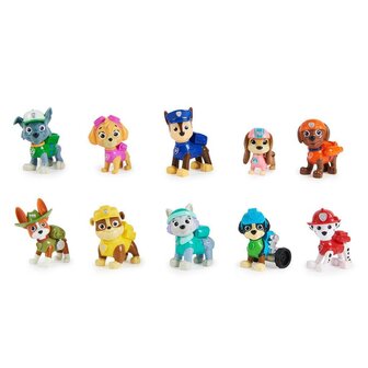 Paw Patrol Gift Set 10 Figuren