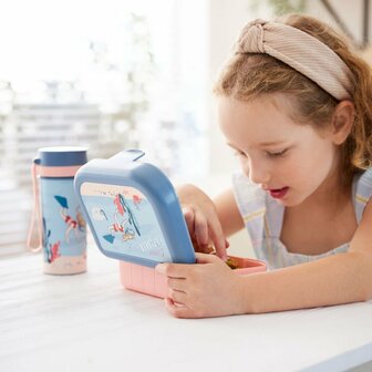 Rotho Memory Kids Lunchbox To Go Kids Explorer 1L Blauw/Roze