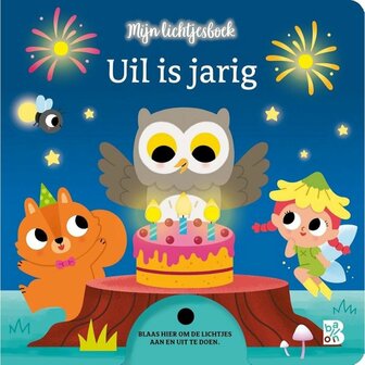 Lichtjesboek Uil is Jarig