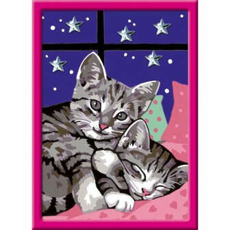 Ravensburger CreArt Schilderen op Nummer Slapende Poezen Glitter