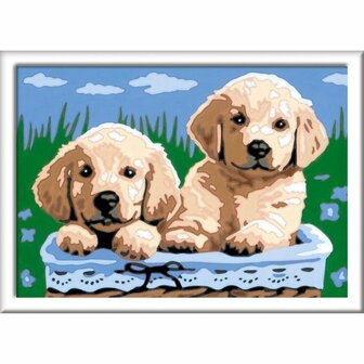 Ravensburger CreArt Schilderen op Nummer Schattige Puppy&#039;s