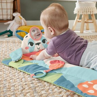 Fisher Price Roly Poly Panda Speelmat