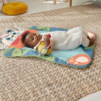 Fisher Price Roly Poly Panda Speelmat