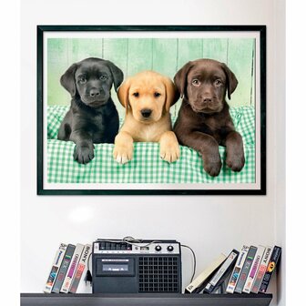 Clementoni High Quality Collection Puzzel Labrador Puppies 1000 Stukjes + Poster