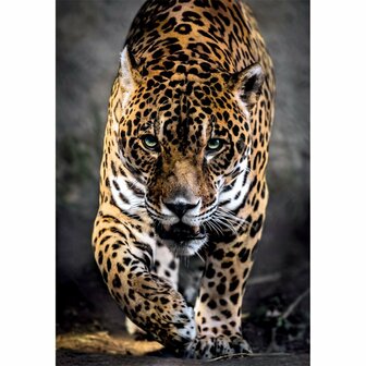 Clementoni High Quality Collection Puzzel Jaguar 1000 Stukjes + Poster