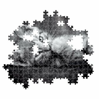 Clementoni High Quality Collection Puzzel Kitten 1000 Stukjes + Poster