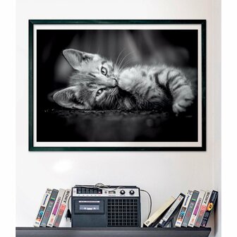 Clementoni High Quality Collection Puzzel Kitten 1000 Stukjes + Poster