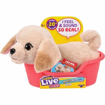 Little Live Pets My Really Real Puppy Mini&#039;s Golden Retriever Buddy + Geluid