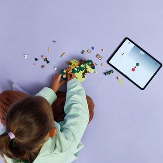 Lego Wicked 75687 Elphaba&#039;s Schuilhut