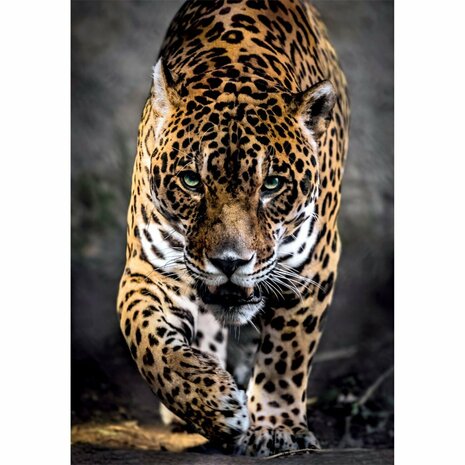Clementoni High Quality Collection Puzzel Jaguar 1000 Stukjes + Poster