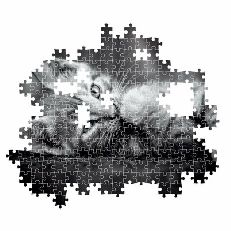 Clementoni High Quality Collection Puzzel Kitten 1000 Stukjes + Poster