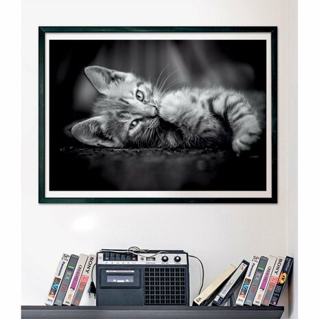 Clementoni High Quality Collection Puzzel Kitten 1000 Stukjes + Poster