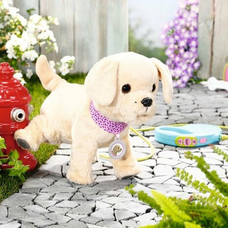 Baby Born My Dog Lucky + Bench